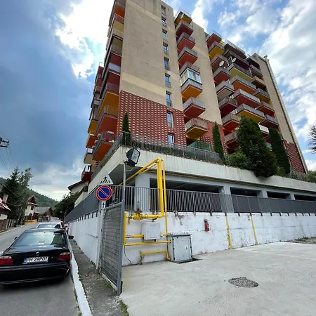 Apartment Cozy Bliss In W. Free Parking Sinaia